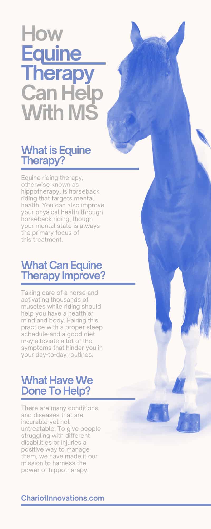 How Equine Therapy Can Help With MS