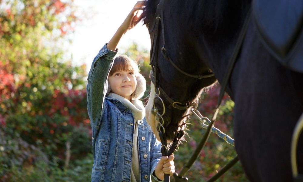 The Effectiveness of Hippotherapy for Autistic Children